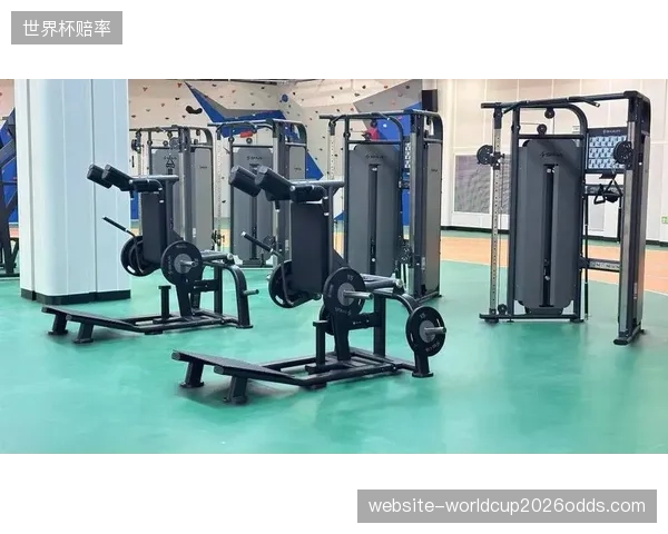 舒华“速度与力量反馈系统2.0”的中试验证路径，揭示国产训练设备的技术突破与市场准入